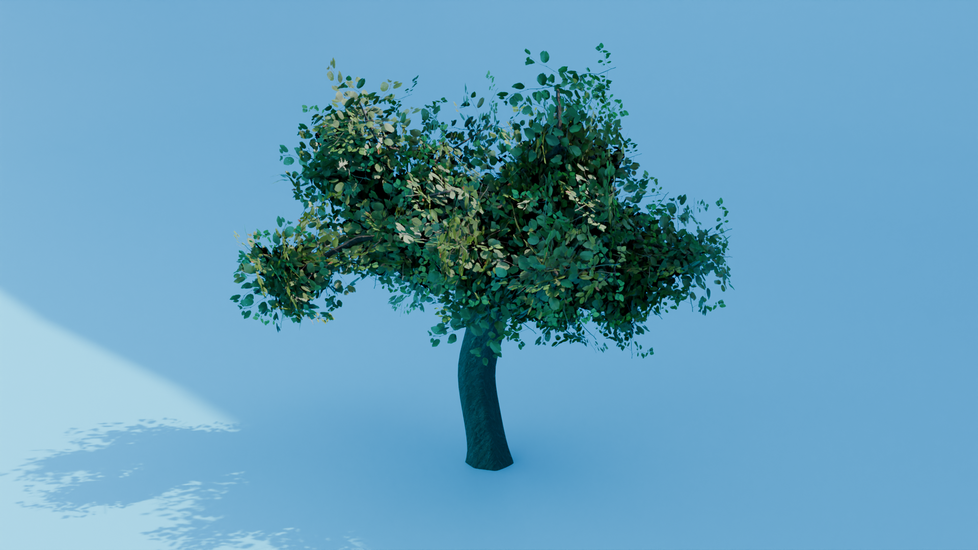 Arbre réaliste — Rendu
