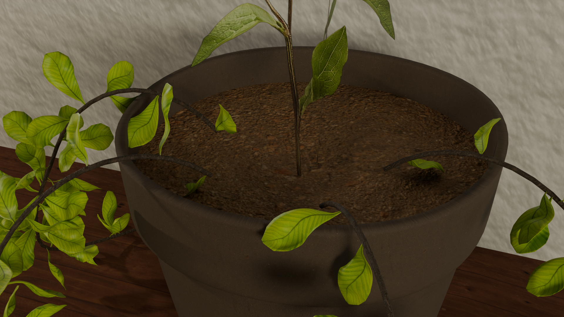 Bureau plante